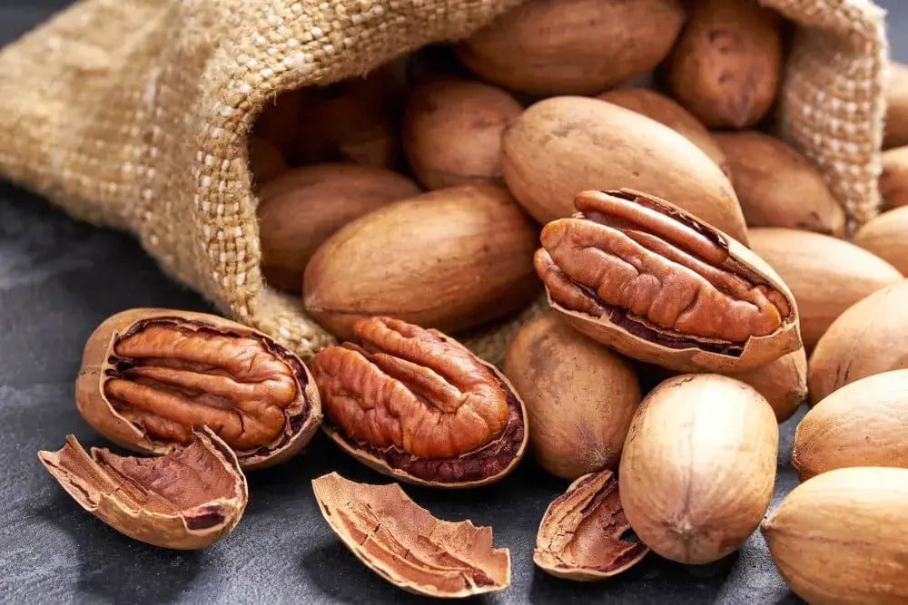 Premium Pecan Nuts - 500 Gram